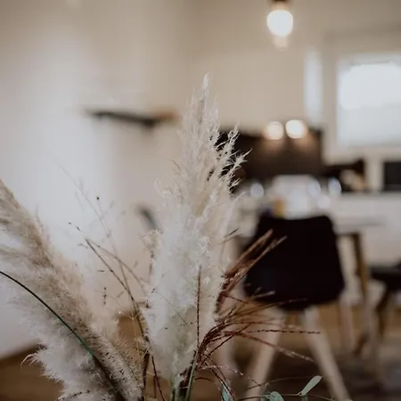 Taubergiessen Apartament Weisweil (Emmendingen)