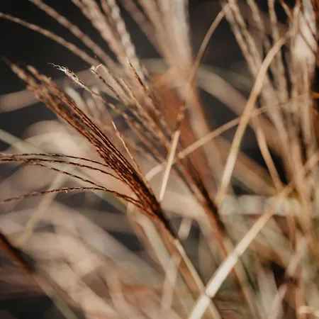 Apartament Taubergiessen *