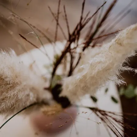 Apartament Taubergiessen *