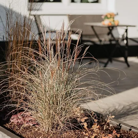 Taubergiessen Apartament